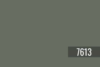 7613